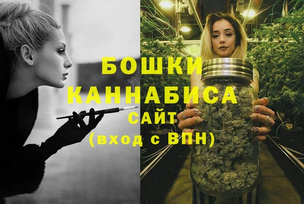 прущие грибы Бикин