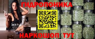дурь Берёзовский