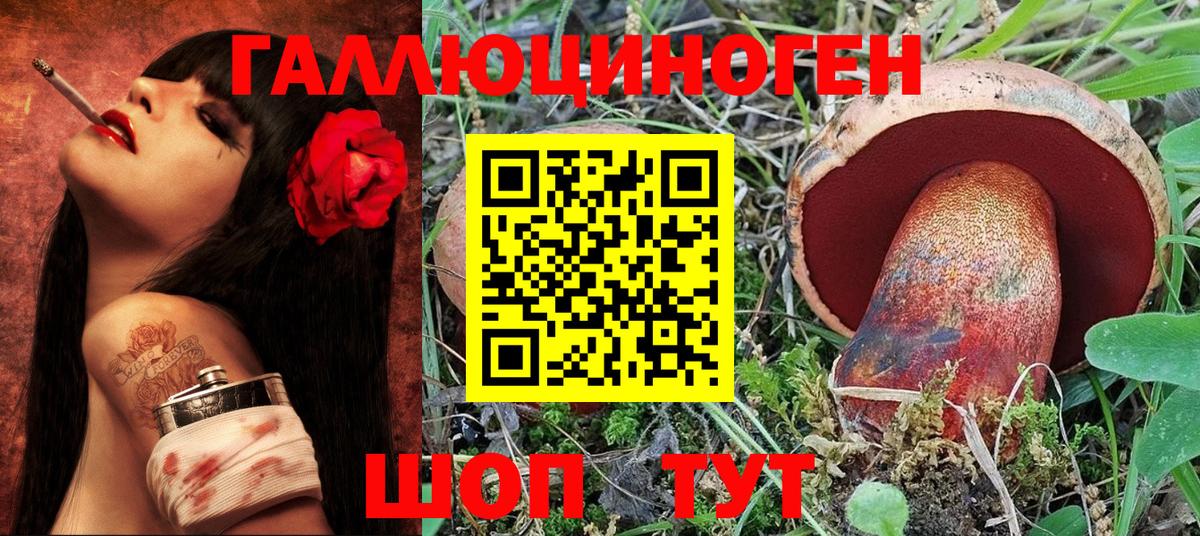 Псилоцибиновые грибы Psilocybe Кандалакша