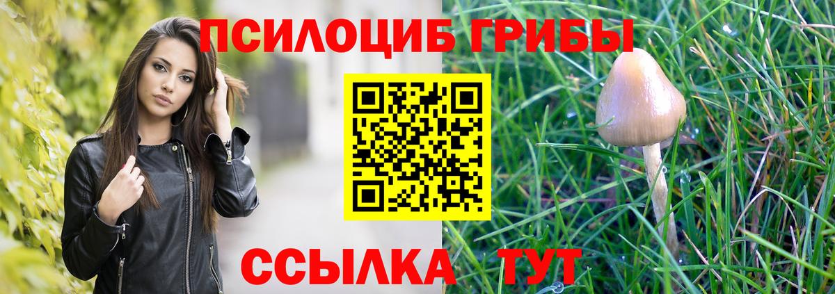 Псилоцибиновые грибы Cubensis  Кандалакша  Галлюциногенные грибы мицелий 