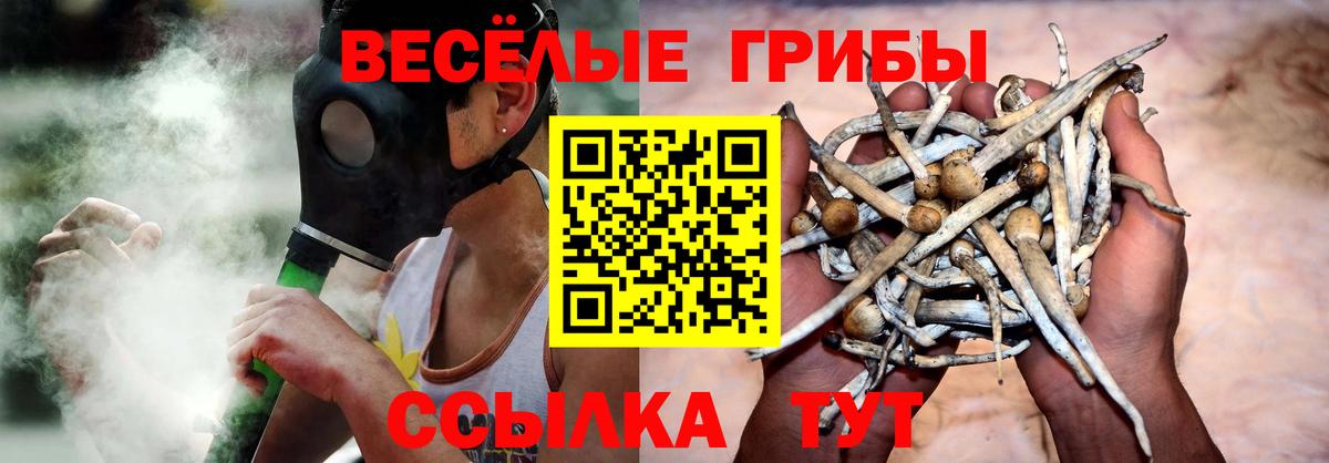 Галлюциногенные грибы GOLDEN TEACHER  купить  сайты  Кандалакша  Псилоцибиновые грибы Psilocybe  Вход с VPN 